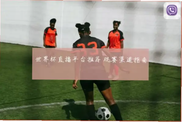 世界杯 直播｜世界杯直播免费平台推荐指南